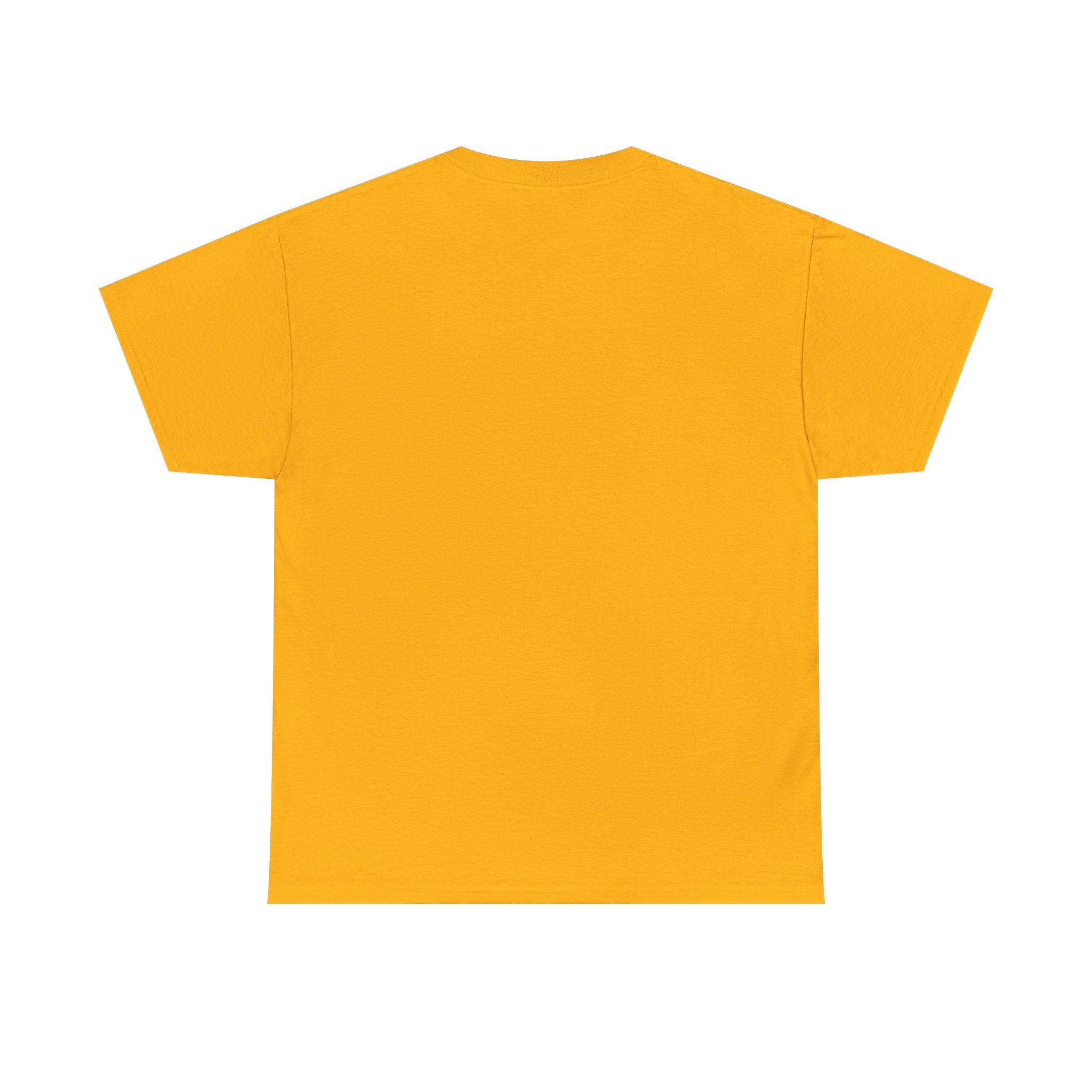 Can You Baseball? T-Shirt — Colorful Retro Baseball Graphic Tee